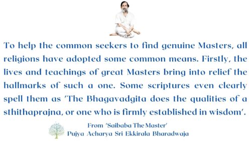 Saibaba The Master - Image 4